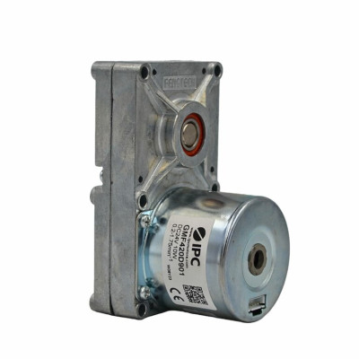 Motoréducteur moteur de vis sans fin poêle à granulé 1.75RPM