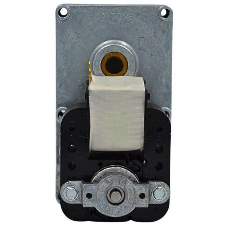 MAROCCHI Motoréducteur vis sans fin de poêle à granulé