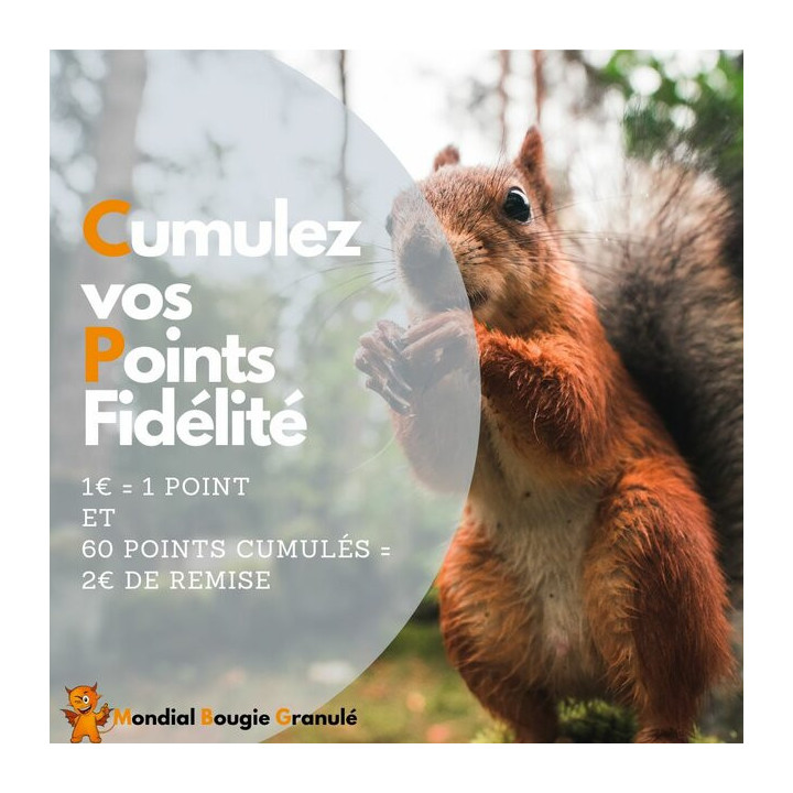 Pack de 3 mallettes de dépannage de bougies poêle à granulés pour technicien