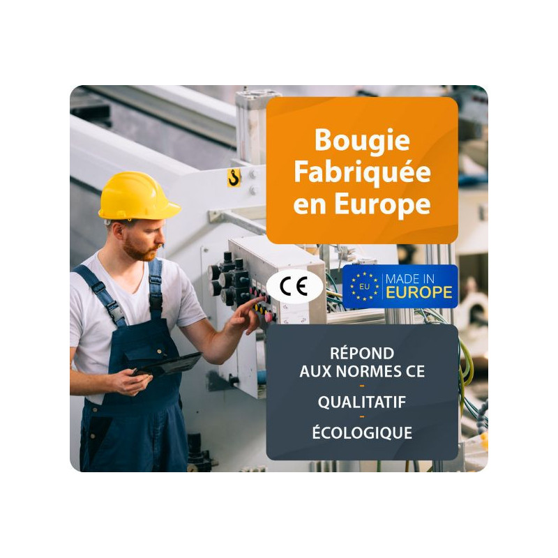 PALAZZETTI Bougie d'allumage compatible pour poêle à granulé