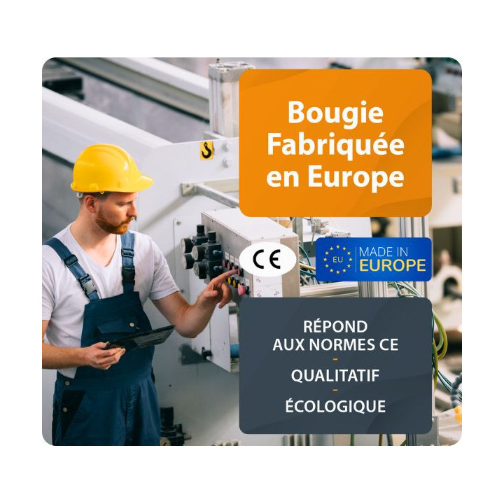 PALAZZETTI Bougie d'allumage pour poêle à granulé